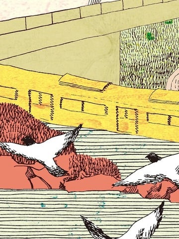 再见了,皆娜同学